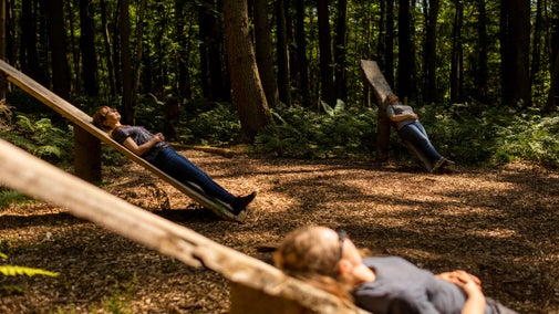 Visitors lying and relaxing on specially made reclining frames, surrounded by woodland and bathed in spots of sunlight shining through the trees